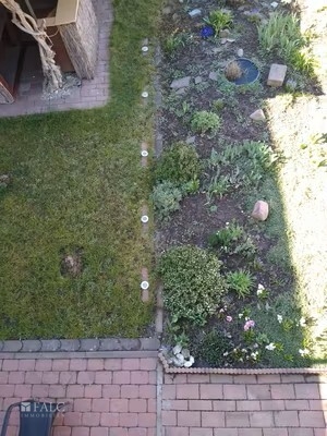 Garten + Terrasse